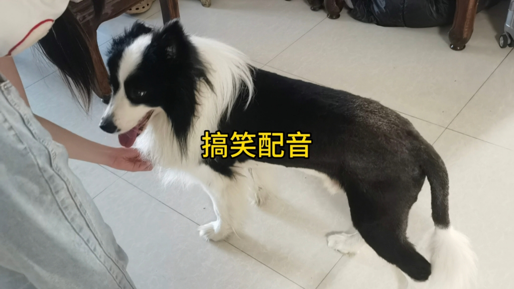 搞笑配音