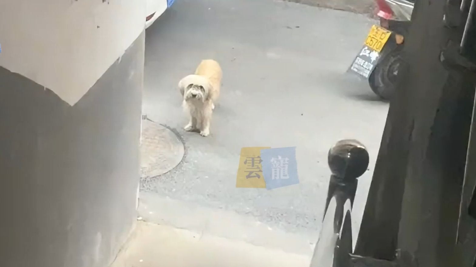 我在等，等那个能带我回家的人！