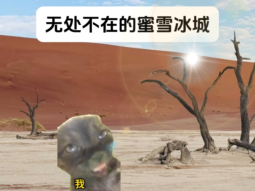 夏日炎炎，有你超甜