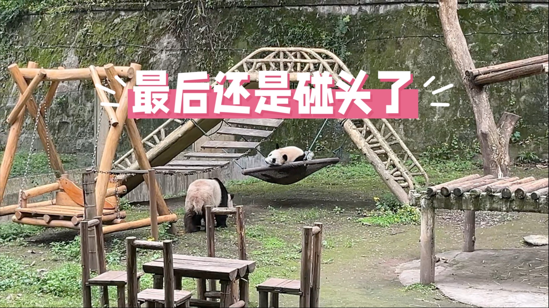一个想交流，一个不想理