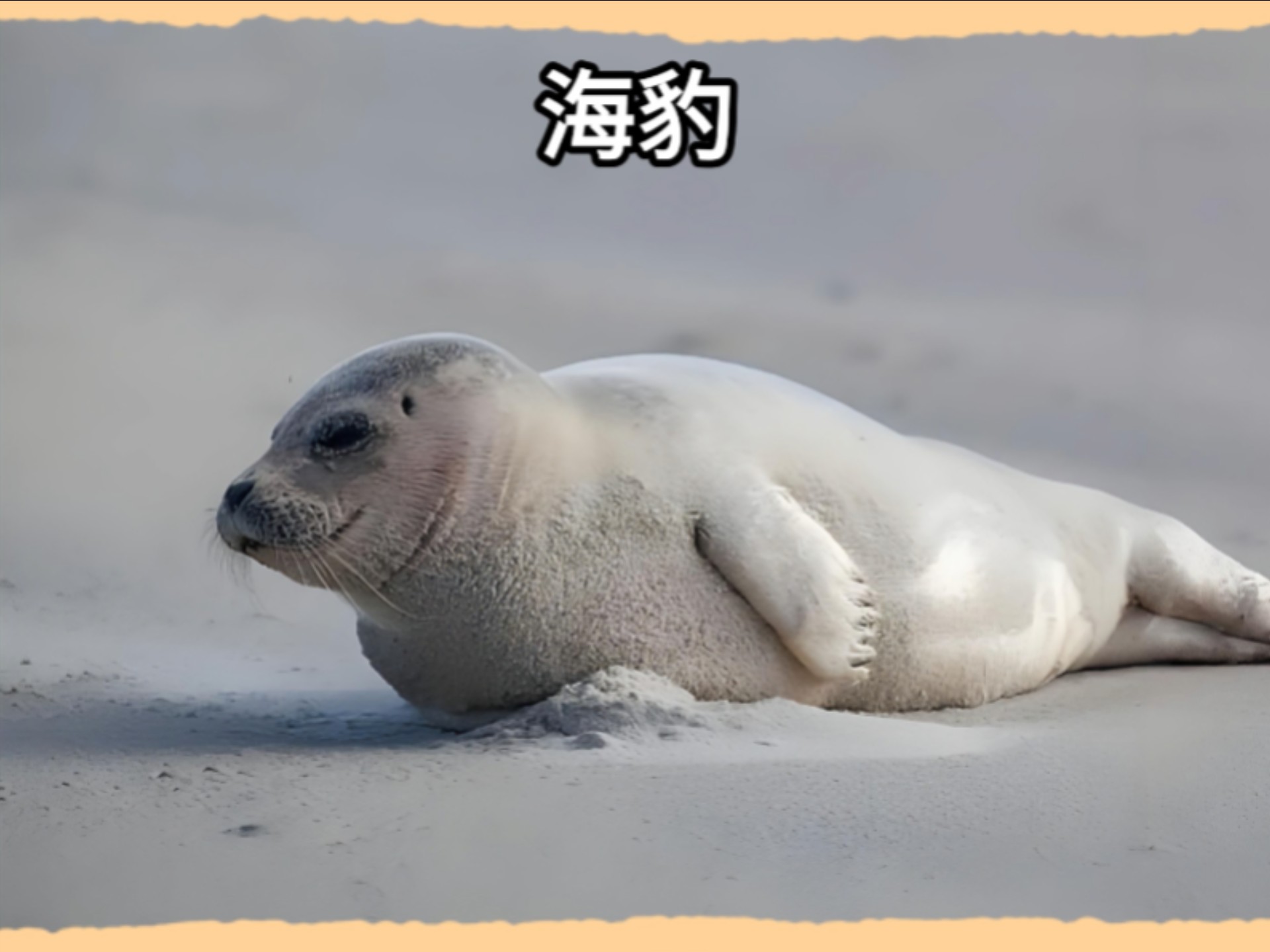 冰雪中的生命传承
