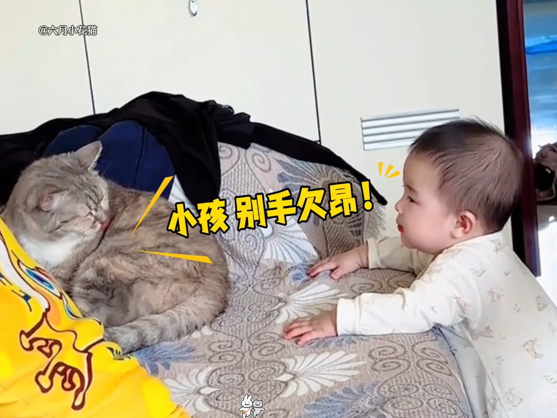 猫咪遇到人类幼崽也只能忍着！