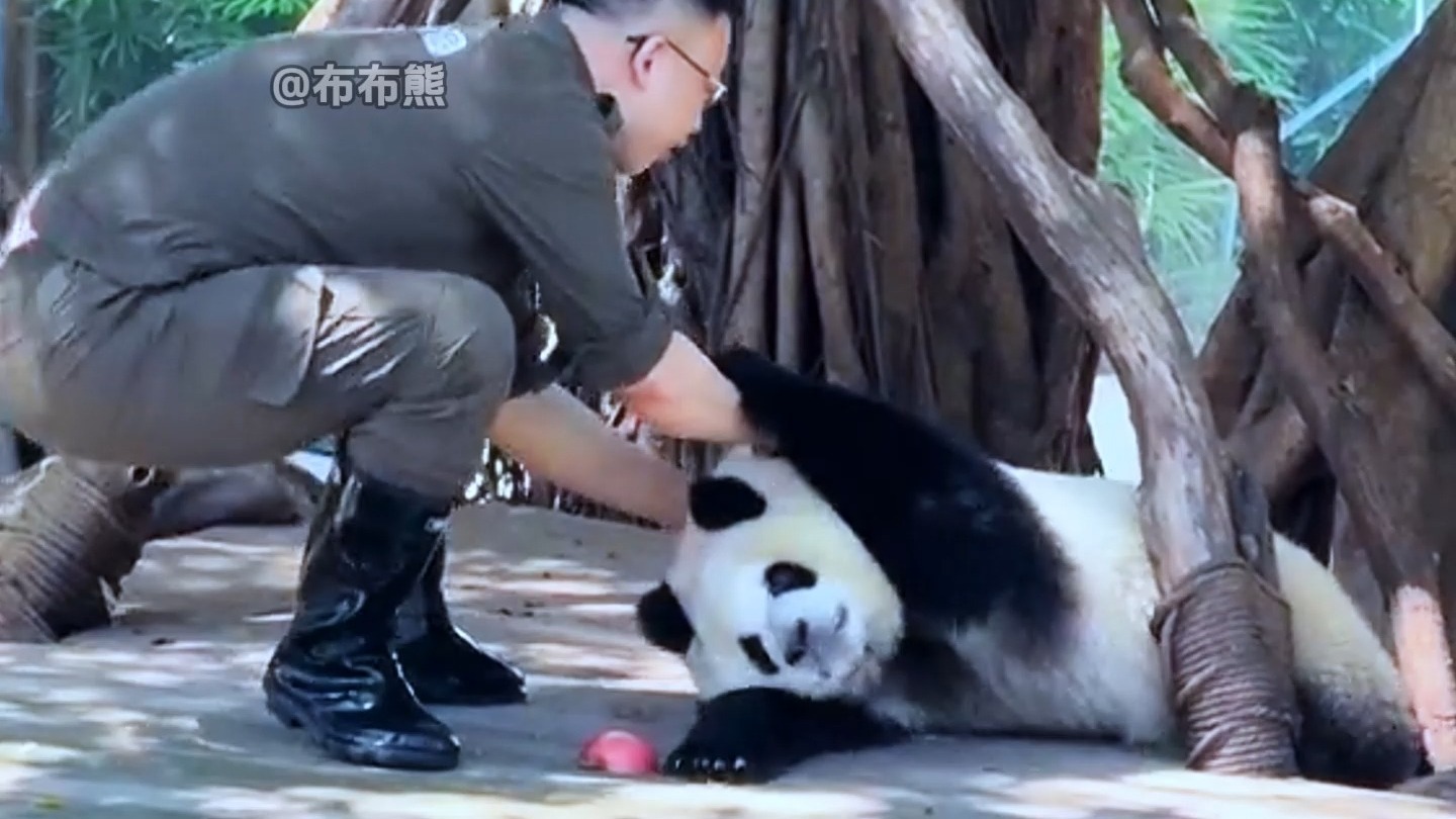 混世小魔王奇三妹专治不服