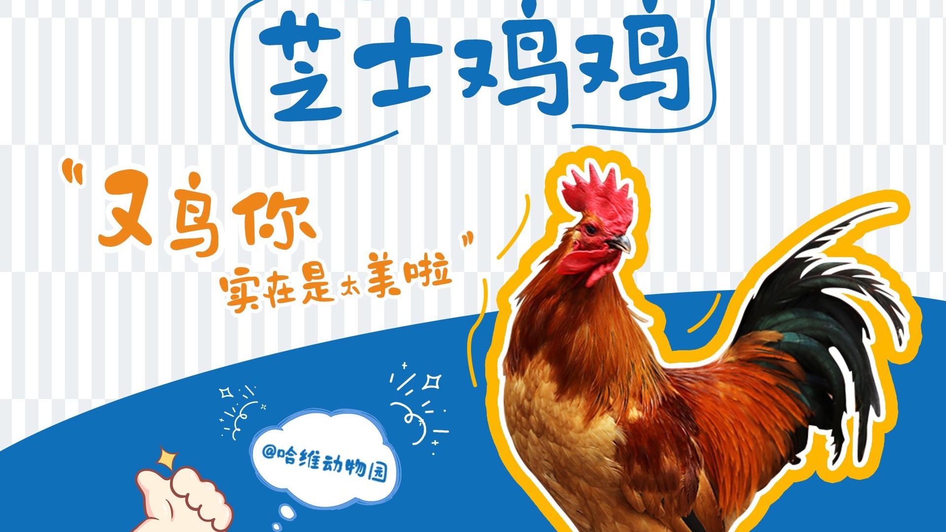 祝大家美唧唧