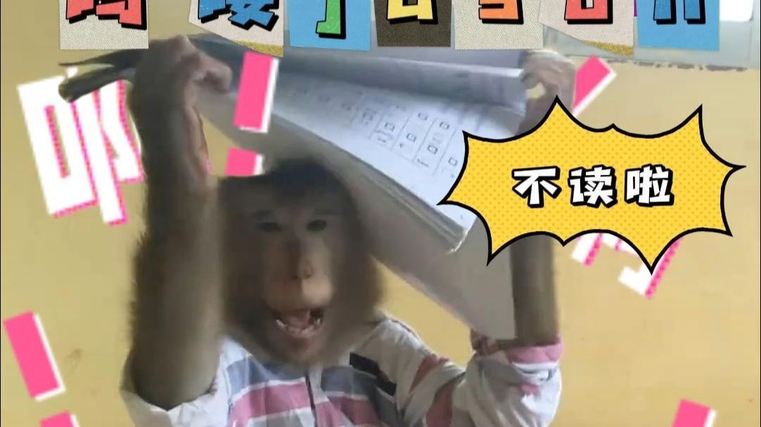 身在读书心在冰箱，吗喽jason不读书啦