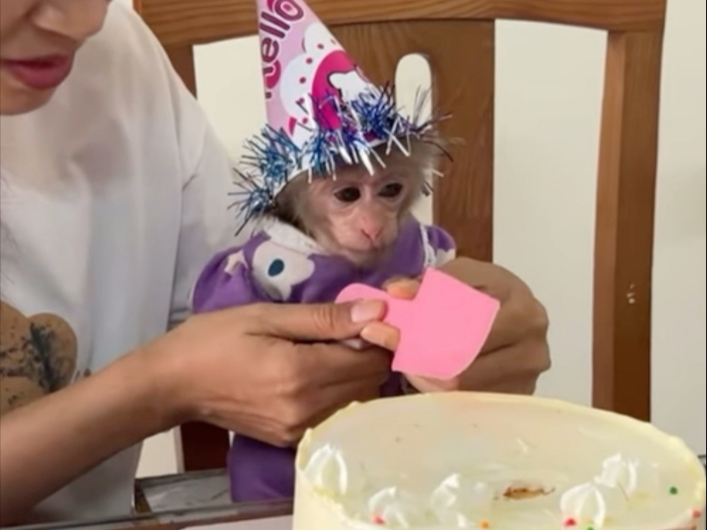 Abi一岁生日视频