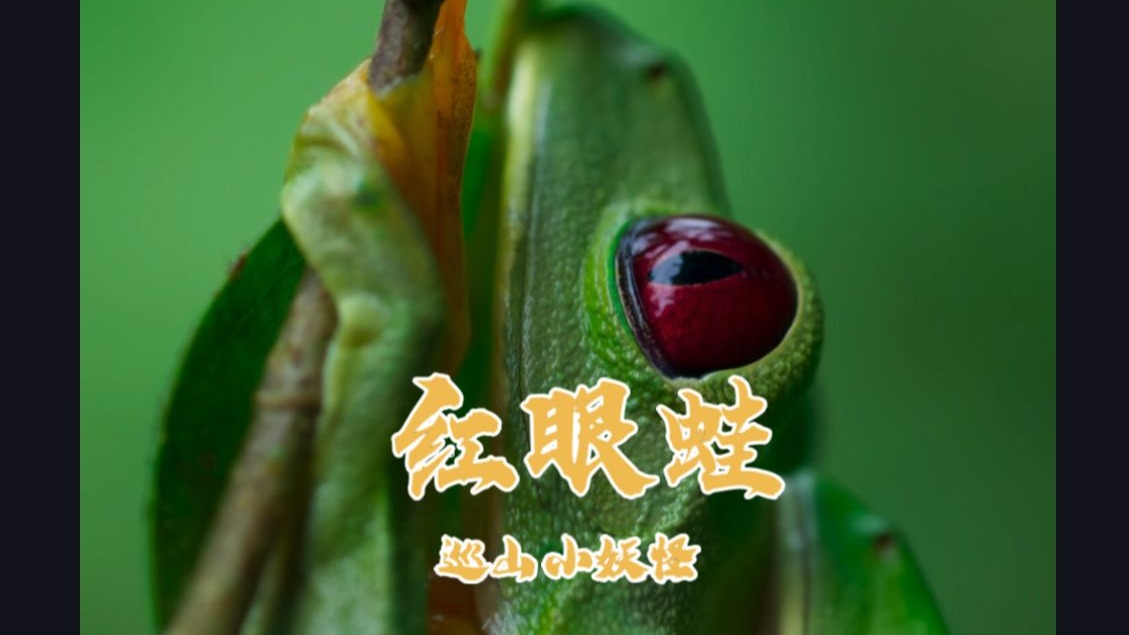 红眼蛙，生孩子已经很累了，就不要在乎是谁的了