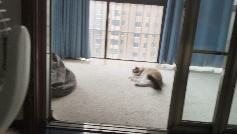 伏击猎食者