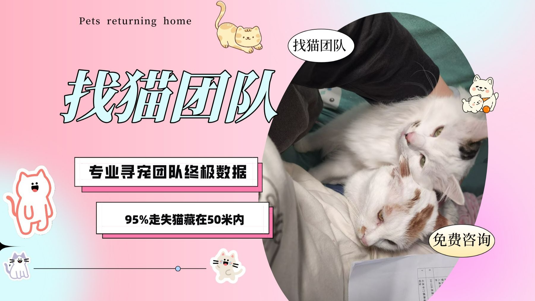 专业寻宠团队终极数据：95%走失猫藏在50米内｜附热力图自查表