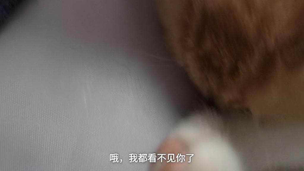 油条要跟我上学