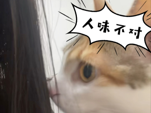 咪：人味儿不对！ /ᐠ. ｡.ᐟˎˊ˗