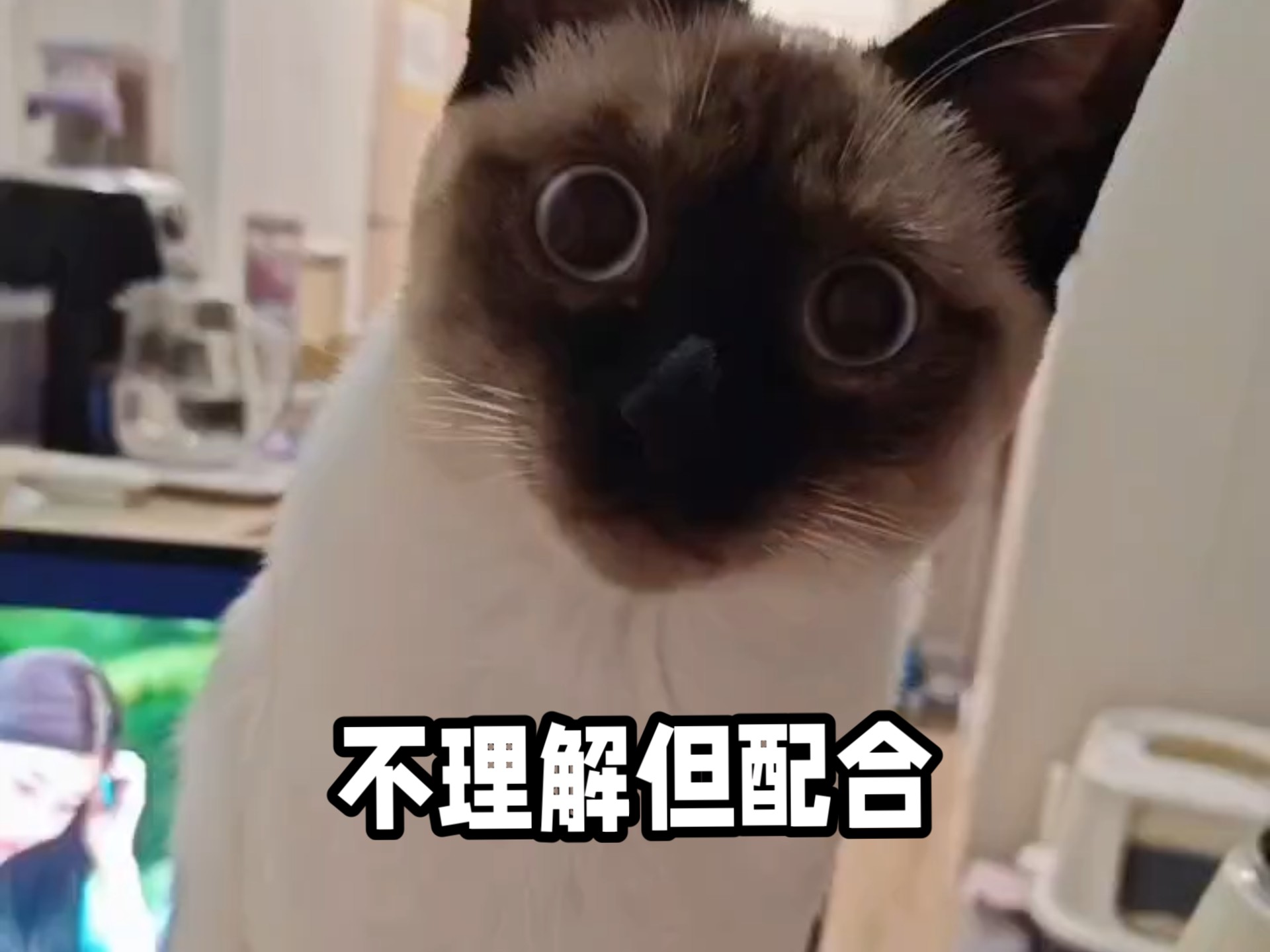 老大，你当我是狗？？