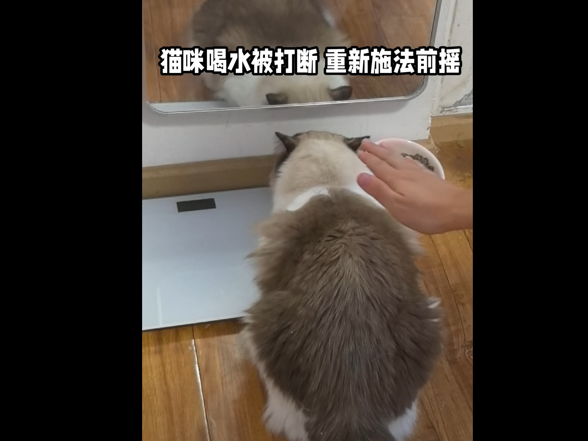 【一橡皮精一】最新视频来袭，快来看看吧！