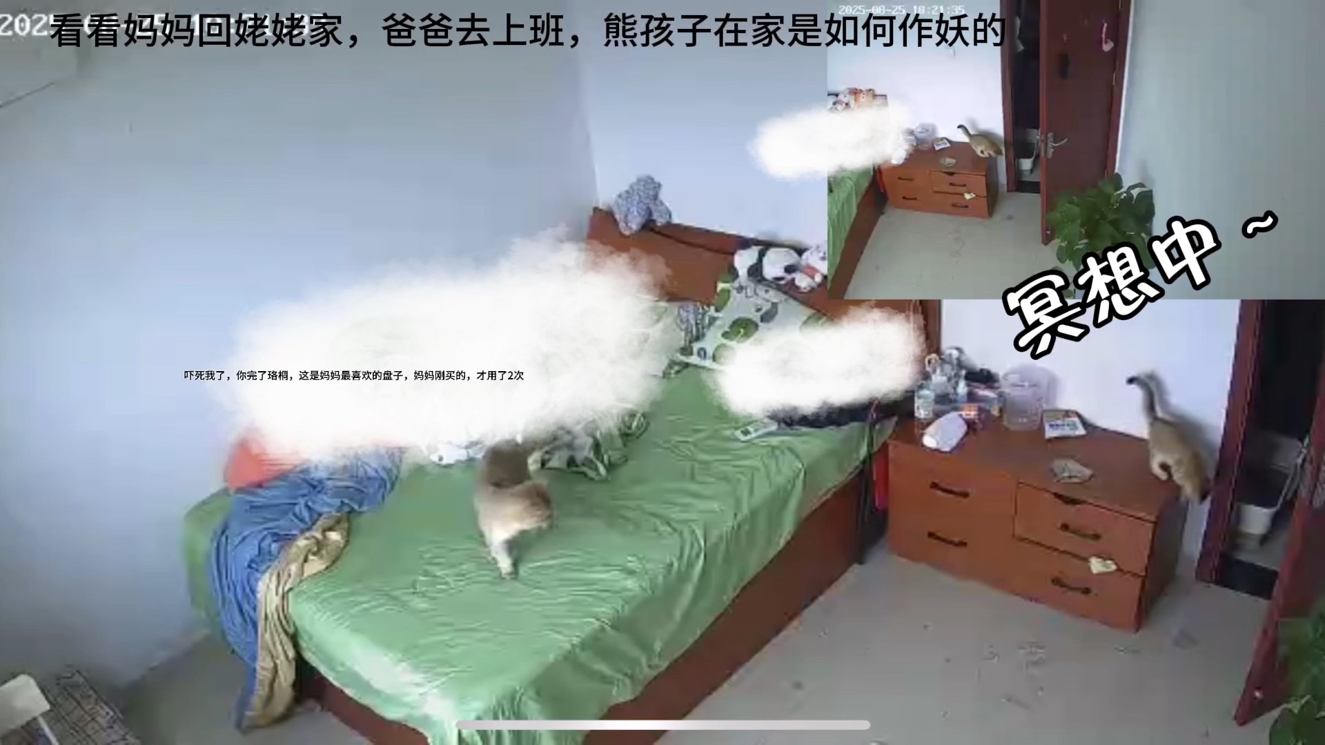 【留守喵星人闯祸实录】