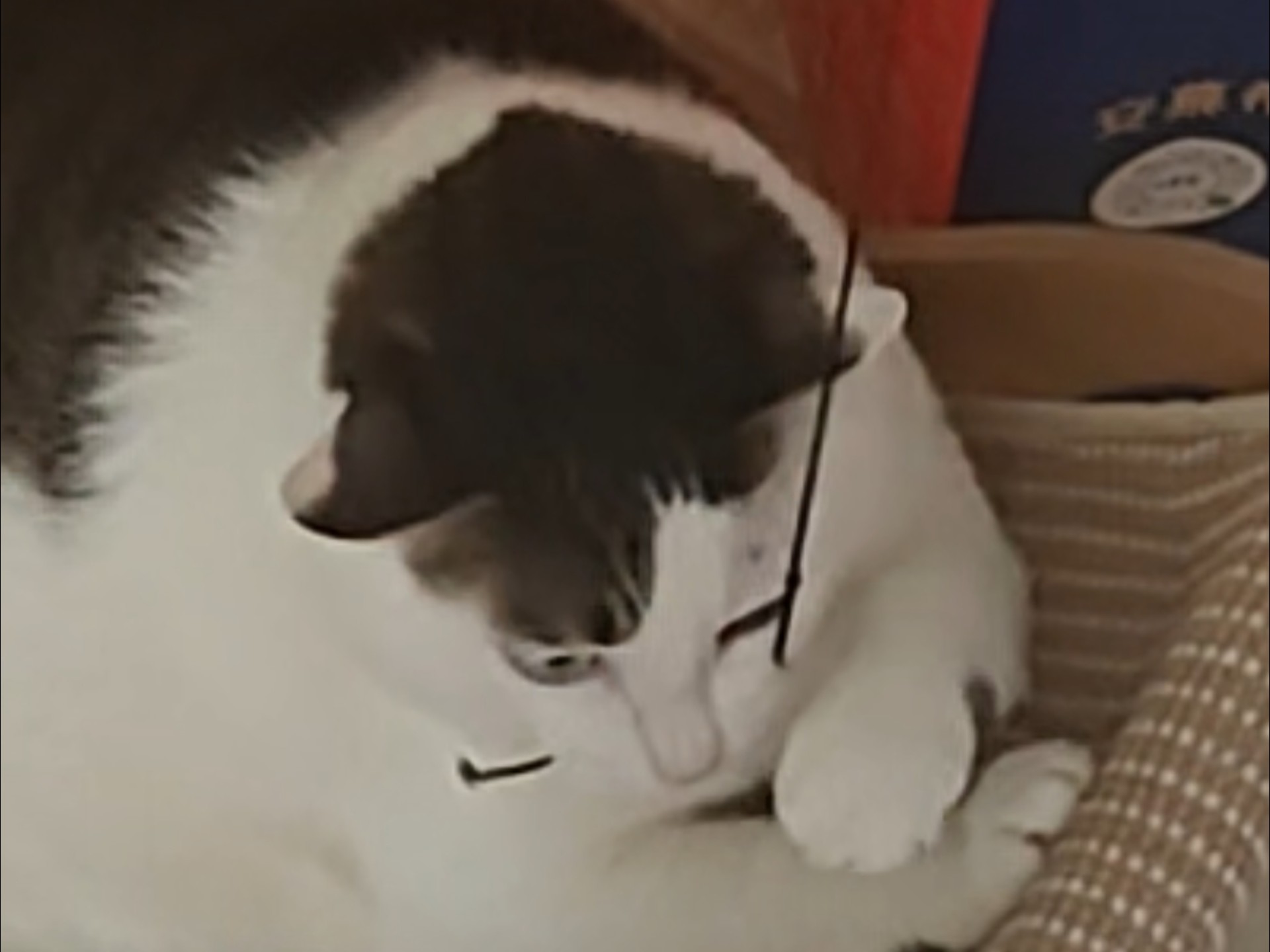 愿者上钩这一块