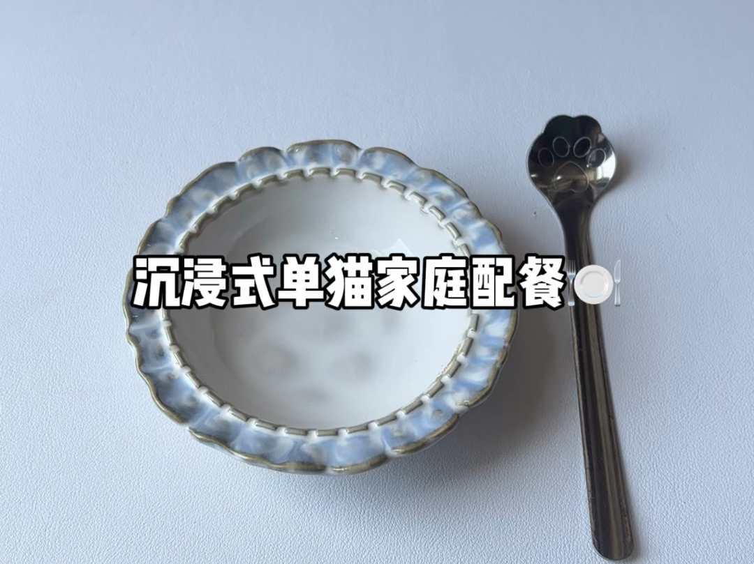 沉浸式配餐｜萌萌被打了