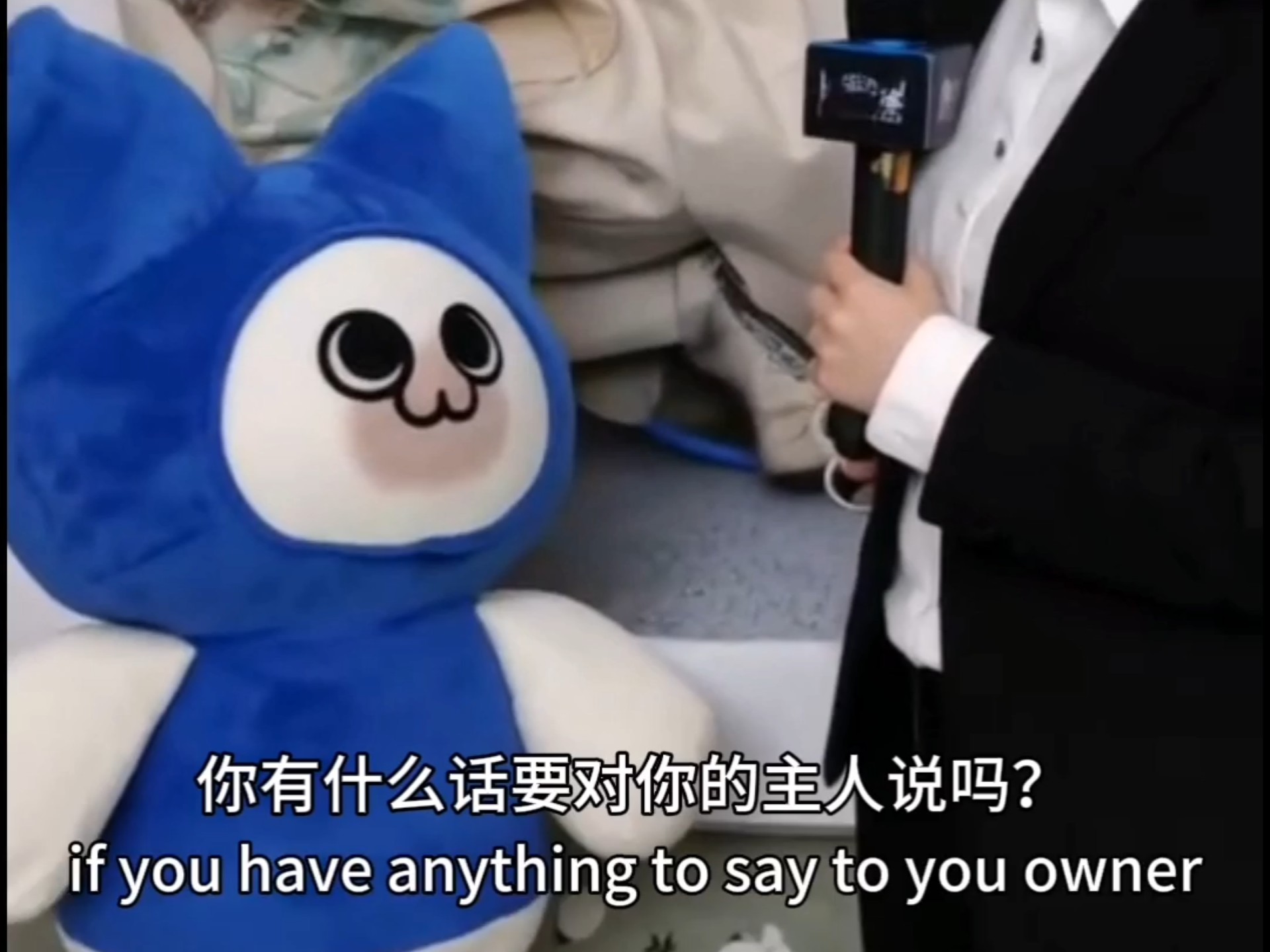 老大真棒喵