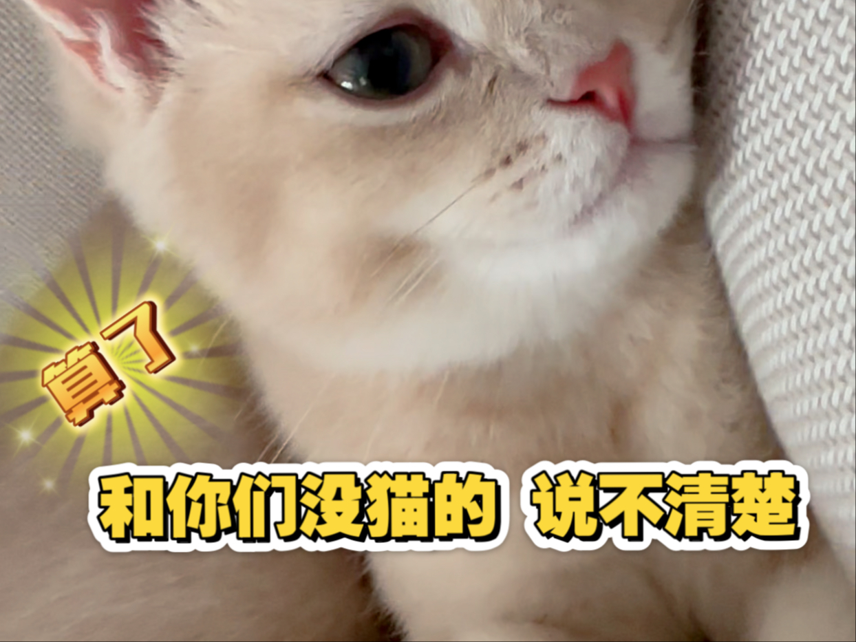算了，和你们没猫的说不清楚