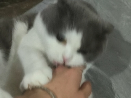 猜猜多大了