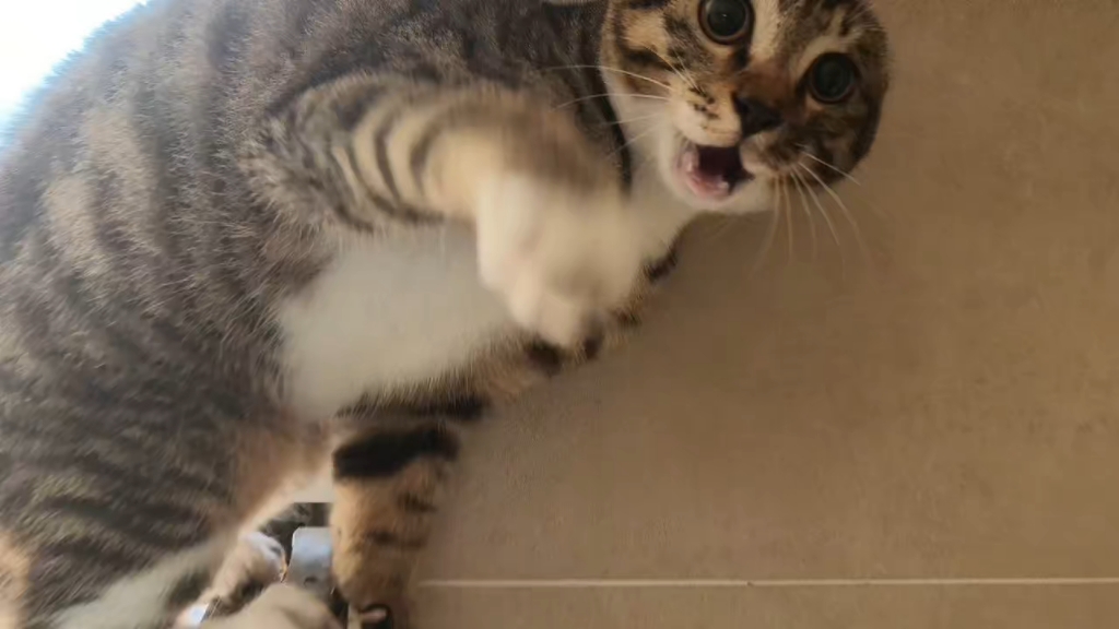 耄耋二世