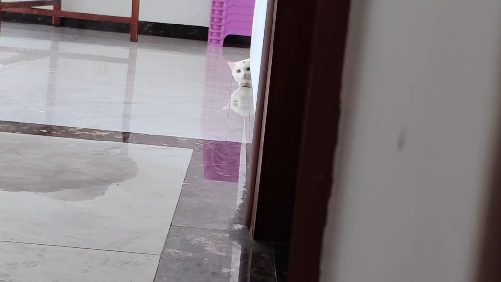 小迷糊