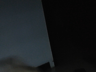 用吸管跟布偶猫玩巡回