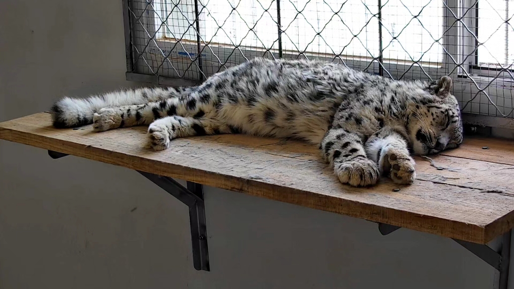 凌小蛰日常（8.12）