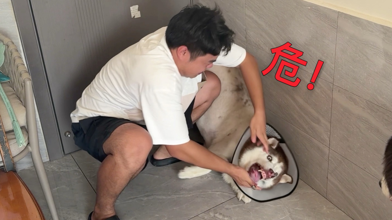 《宣布十一肿瘤的结果》