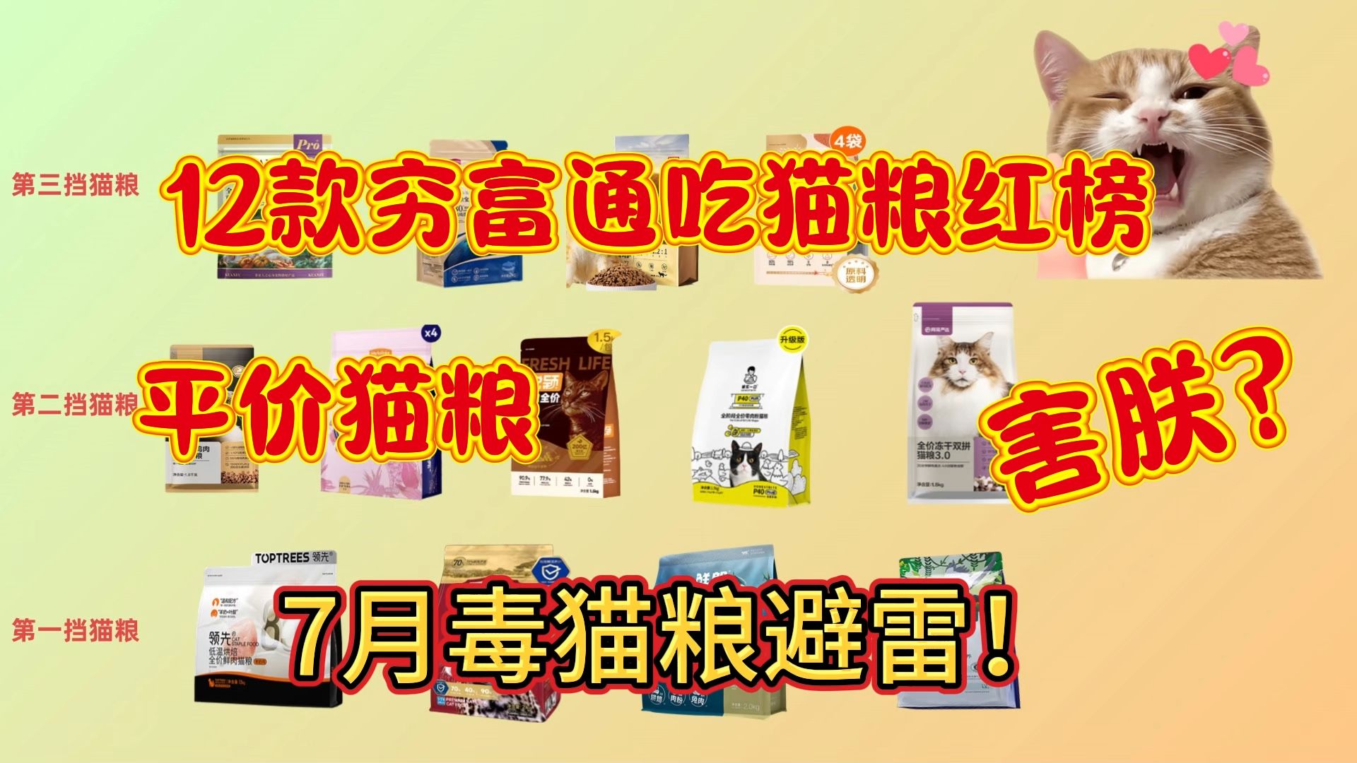 养猫8年丨“穷养猫”平价猫粮也能养出油光水滑猫，12款猫粮良