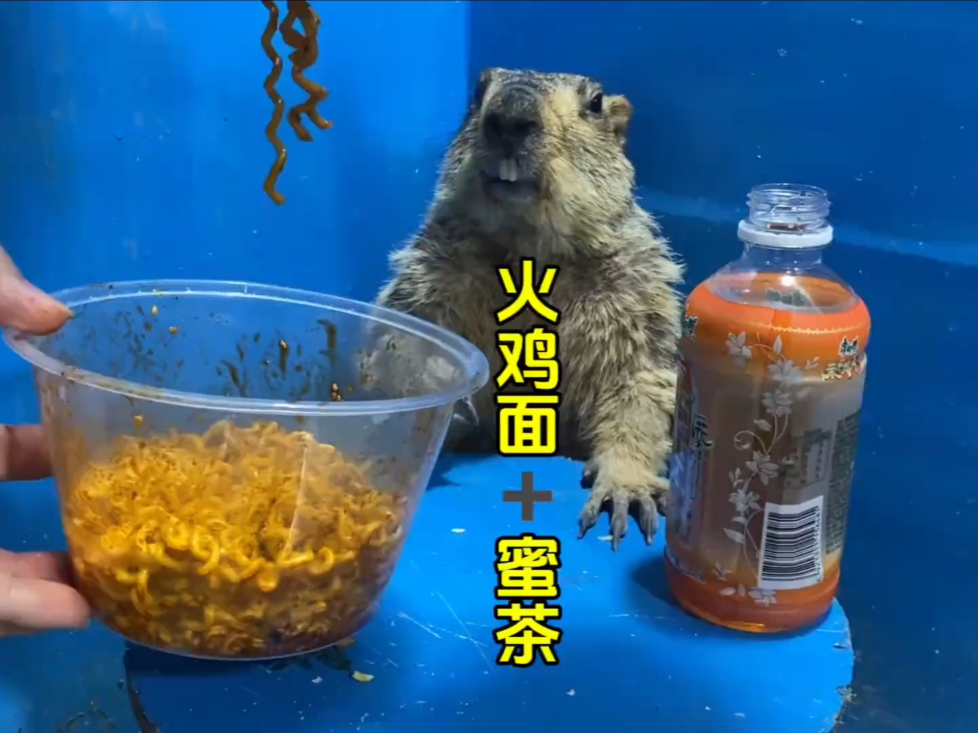 黑暗料理