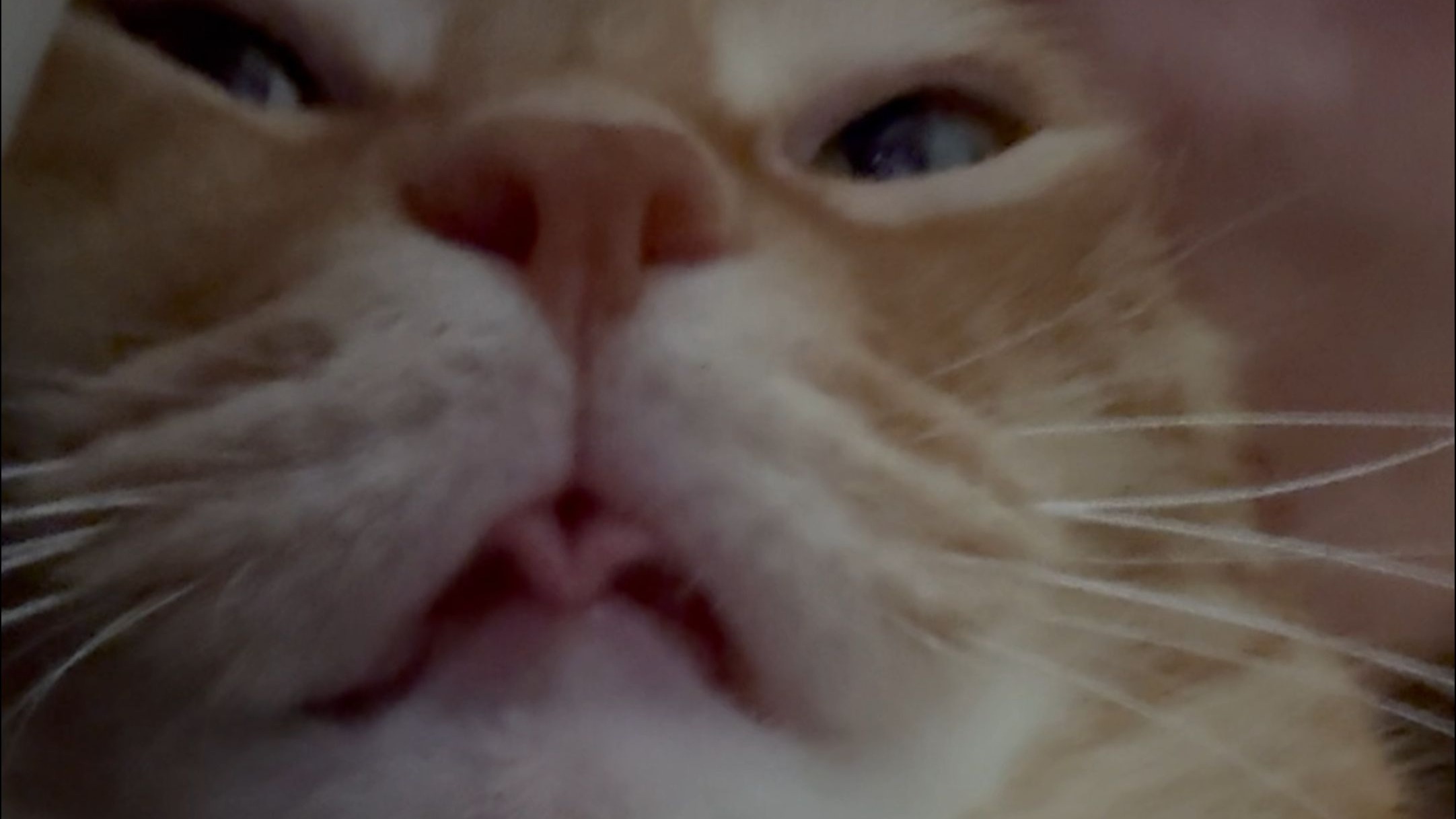 我还没嘬完，你再等等