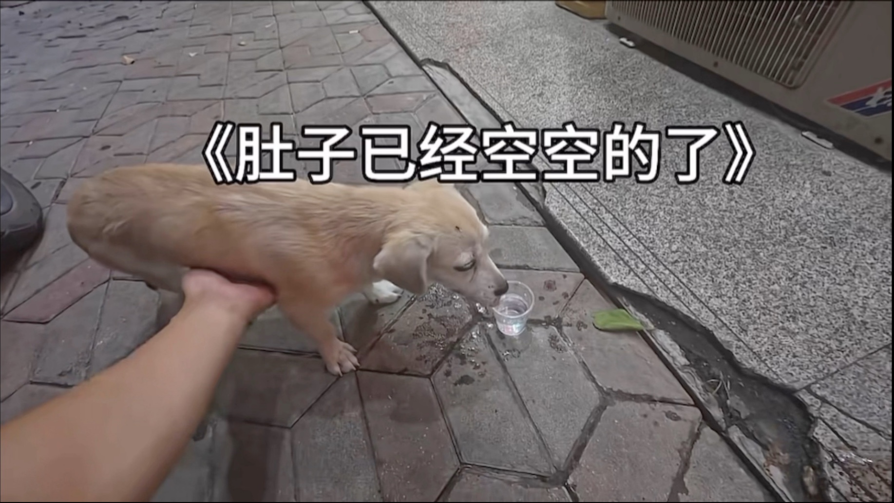 剧本都不敢这么写，缘分真的太强大了！