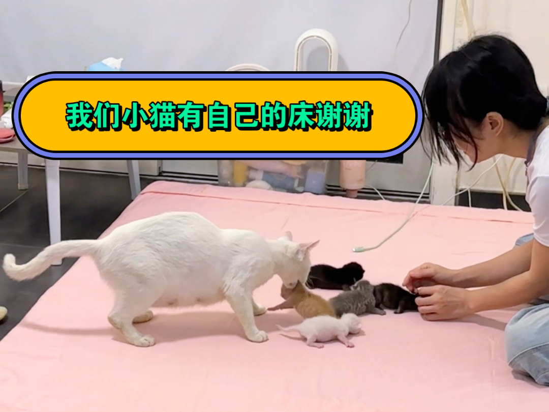 后来我才明白她的良苦用心……