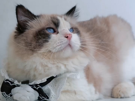 之前拍的一个片子