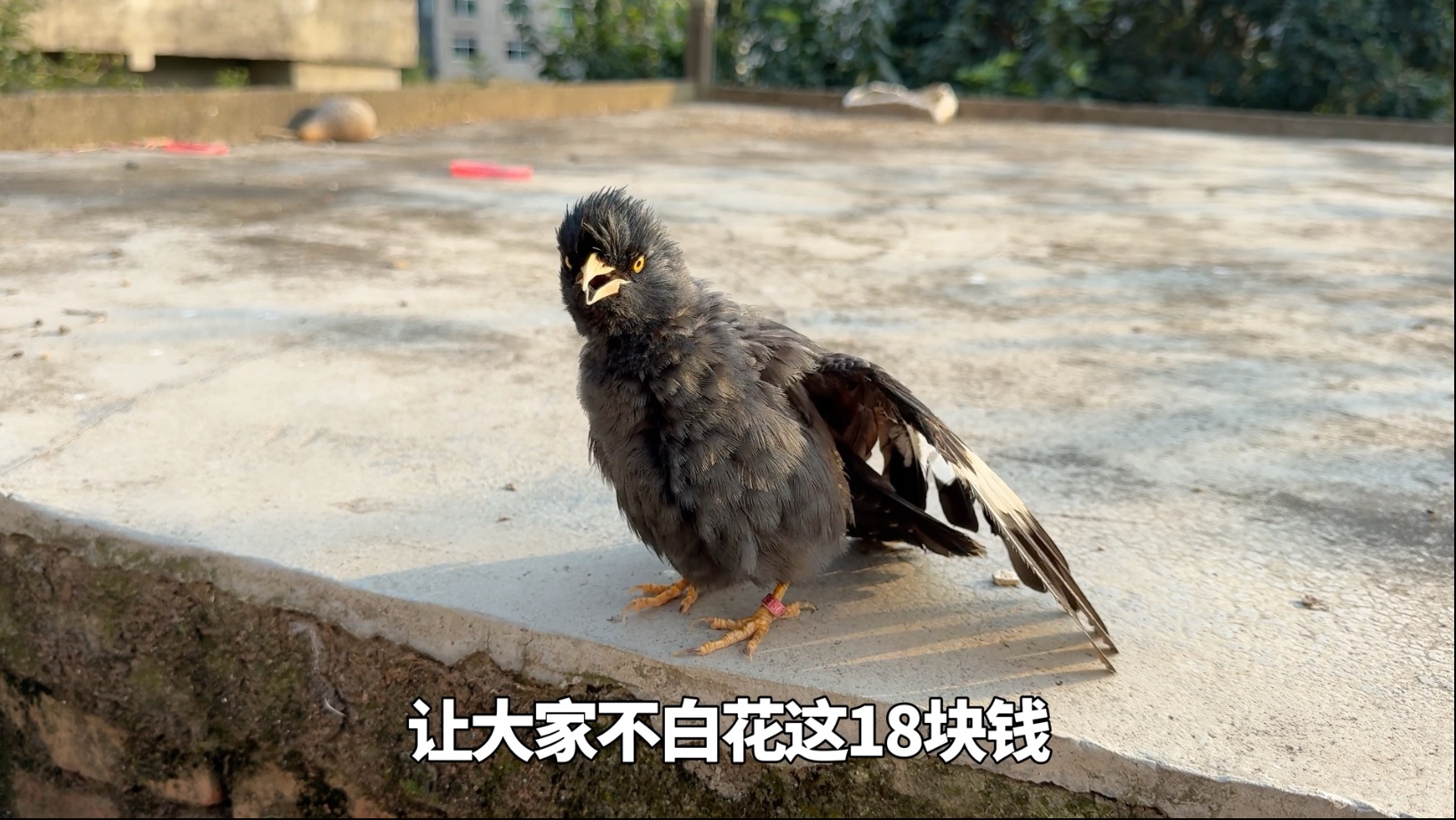 这是一期关于充电的视频，有需要的就看看