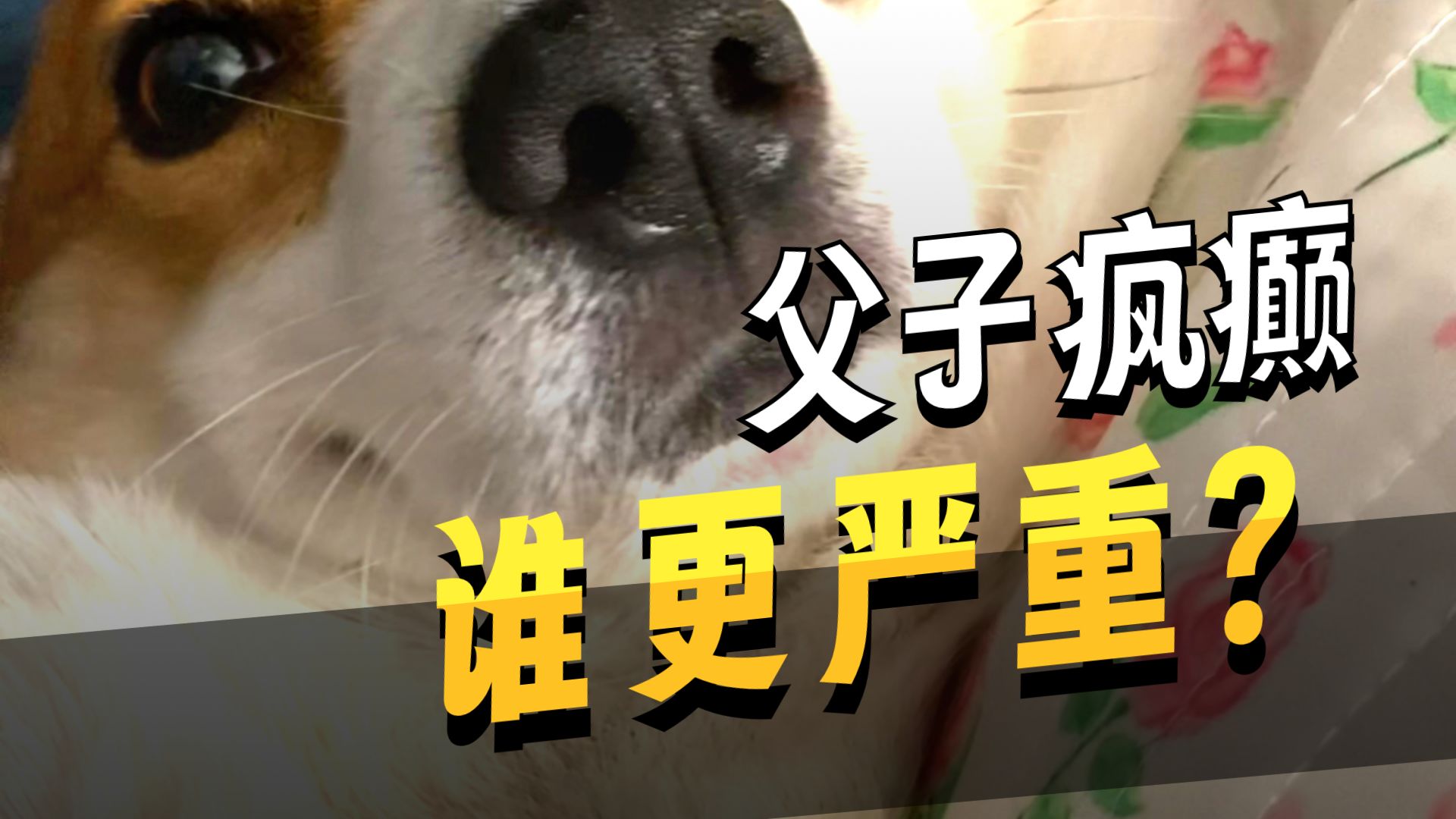 精神病停药后的后果