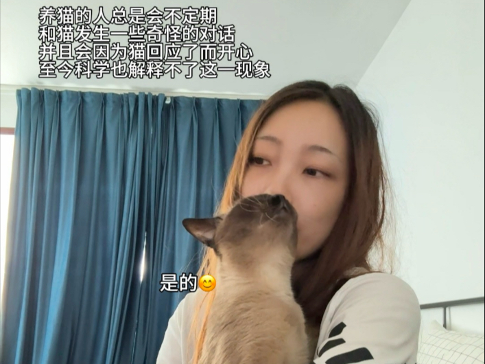 人类总是会和小猫发生一些奇怪的对话