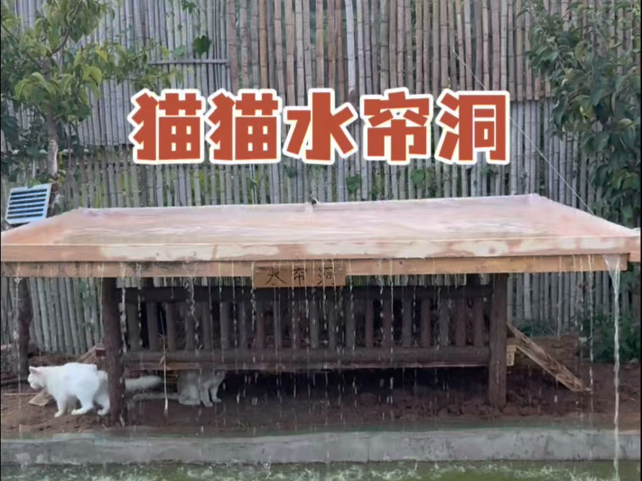 建造个猫猫水帘洞
