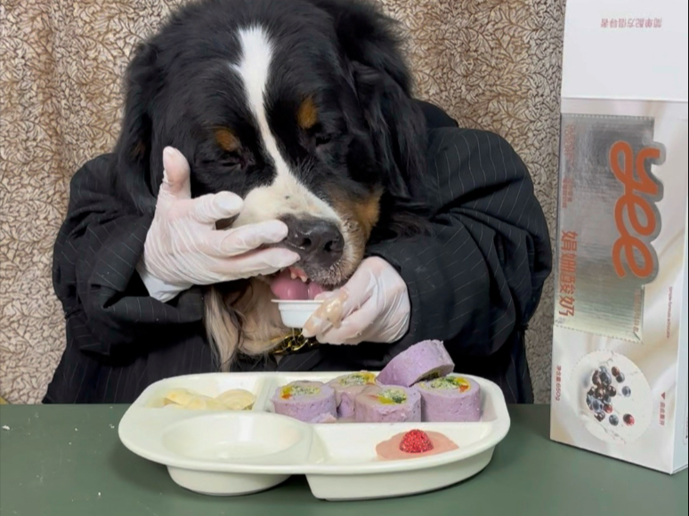 在害怕和想吃之间来回徘徊