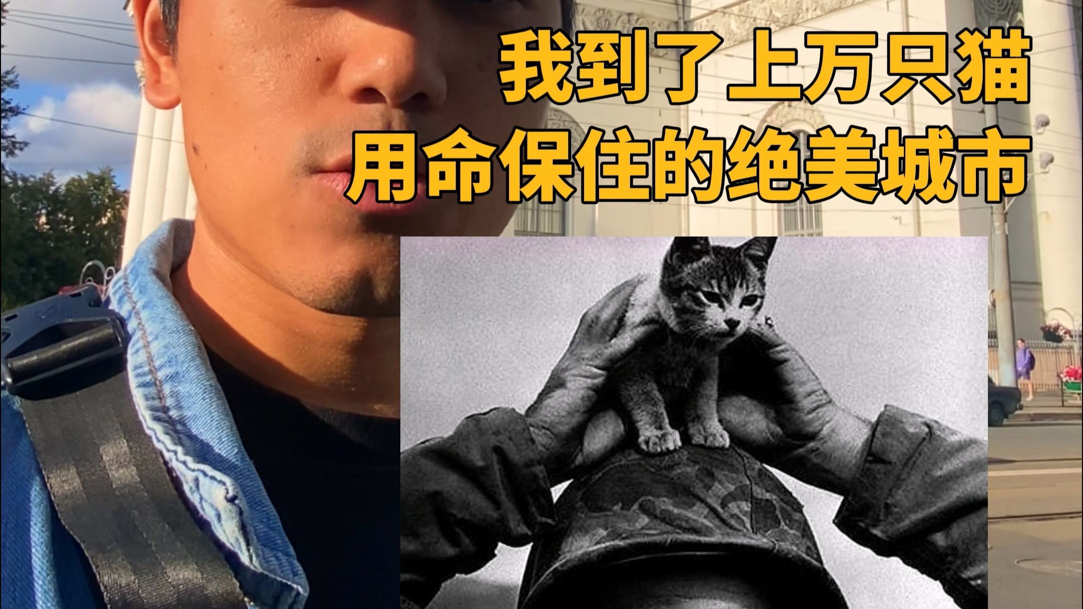 到了历史上真实被几千只猫救下来的城市