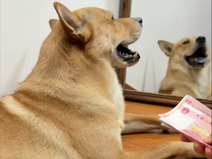 3-8月份工资已发放，请注意查收