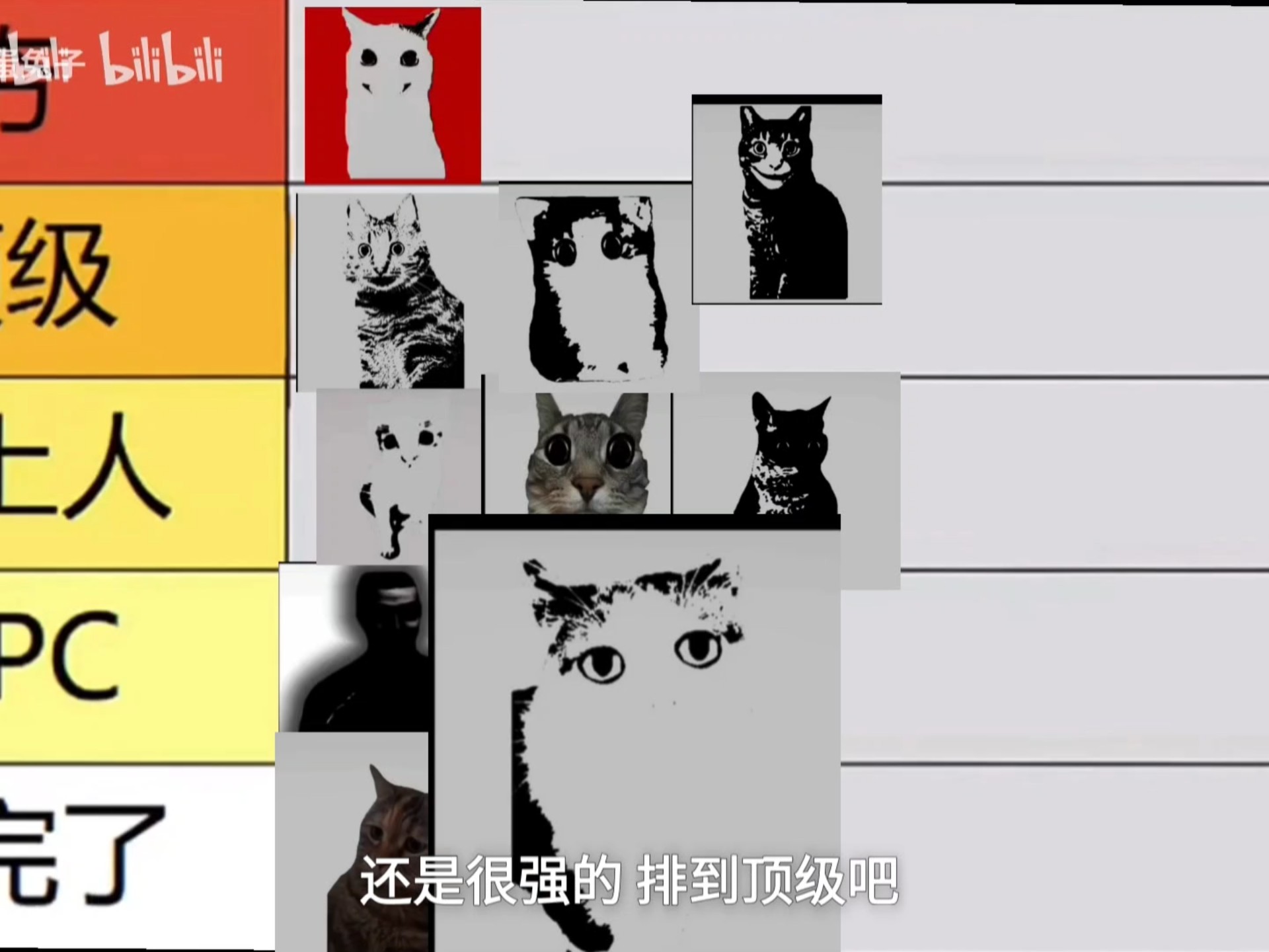 排名nt006到nt010