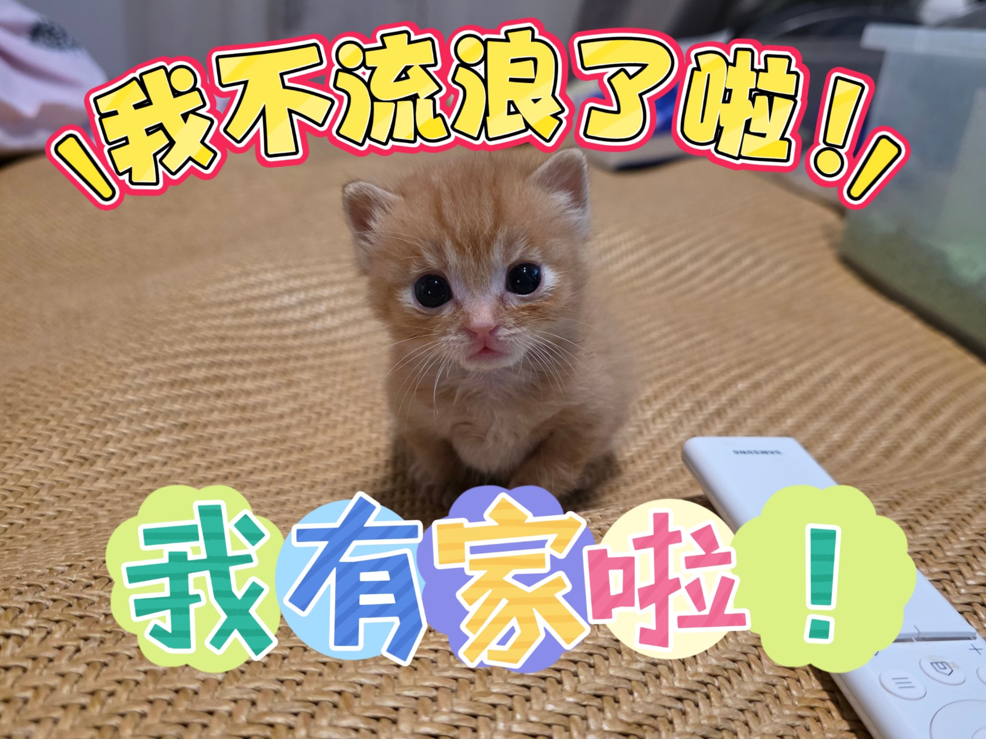 你不用流浪啦！你有家啦！