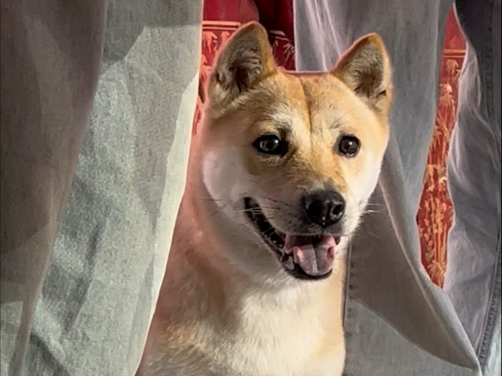 我和大黄明星在央视录制后台花絮，我沾光了。