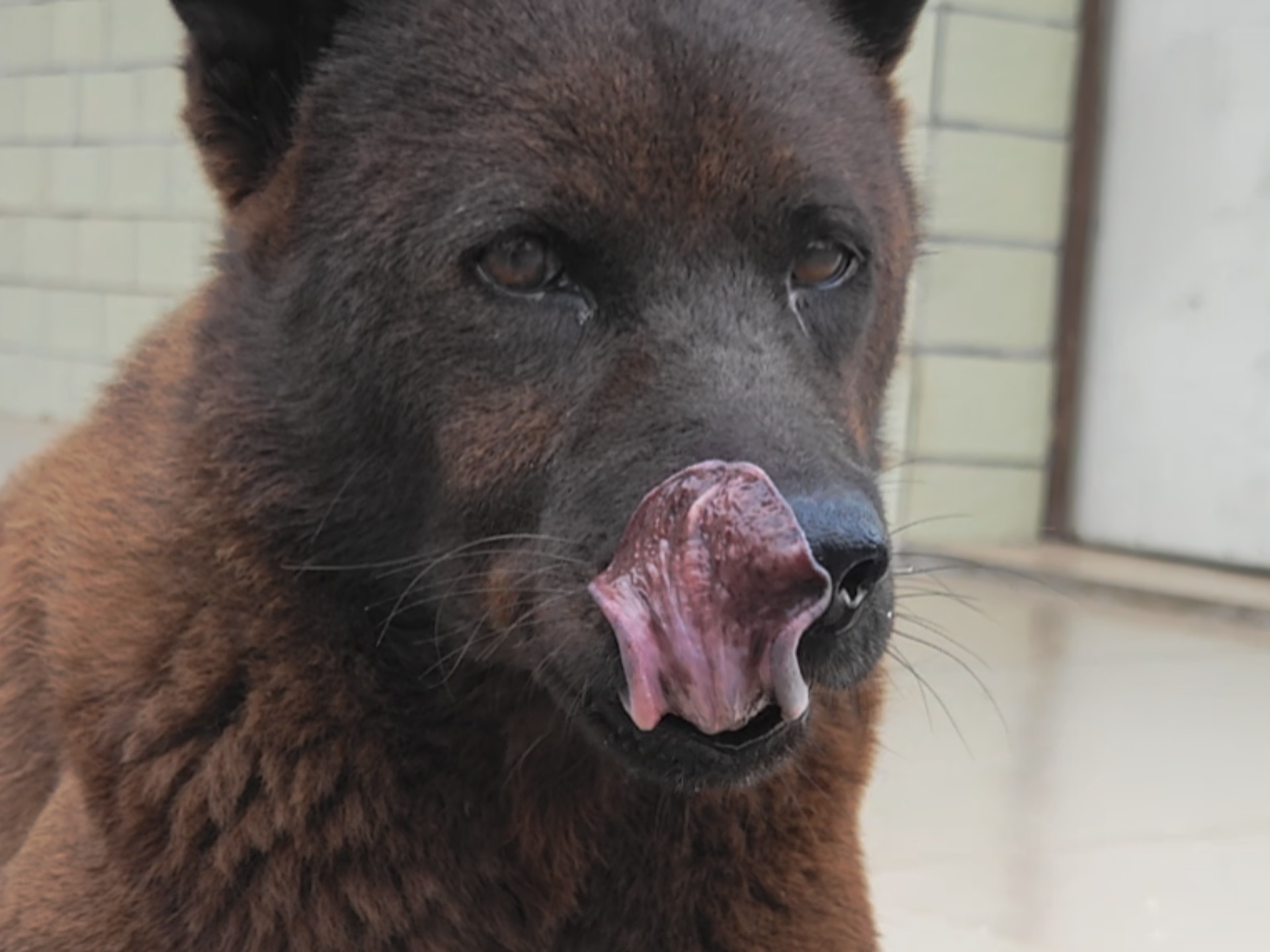 老黑：   很   有   精   神   ！   ！   ！