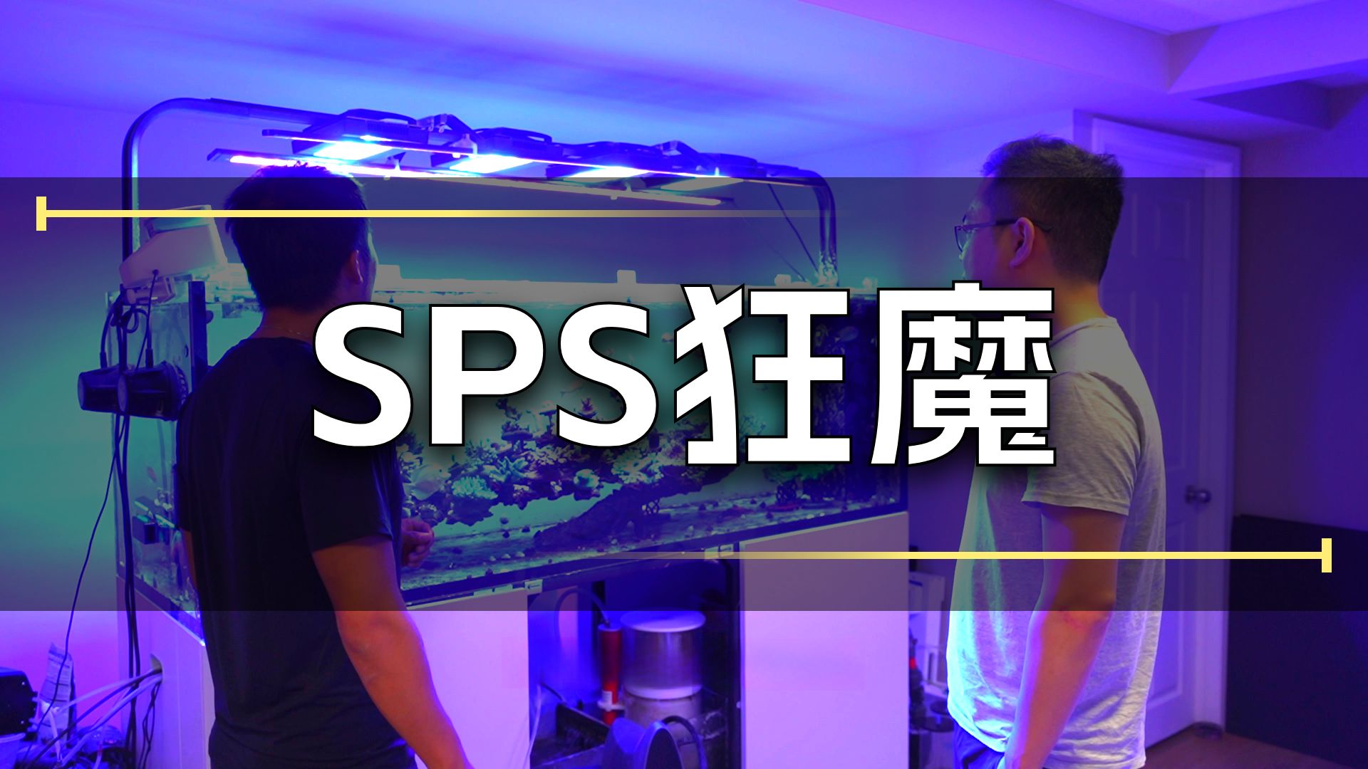 宏伟的1米8纯SPS海缸