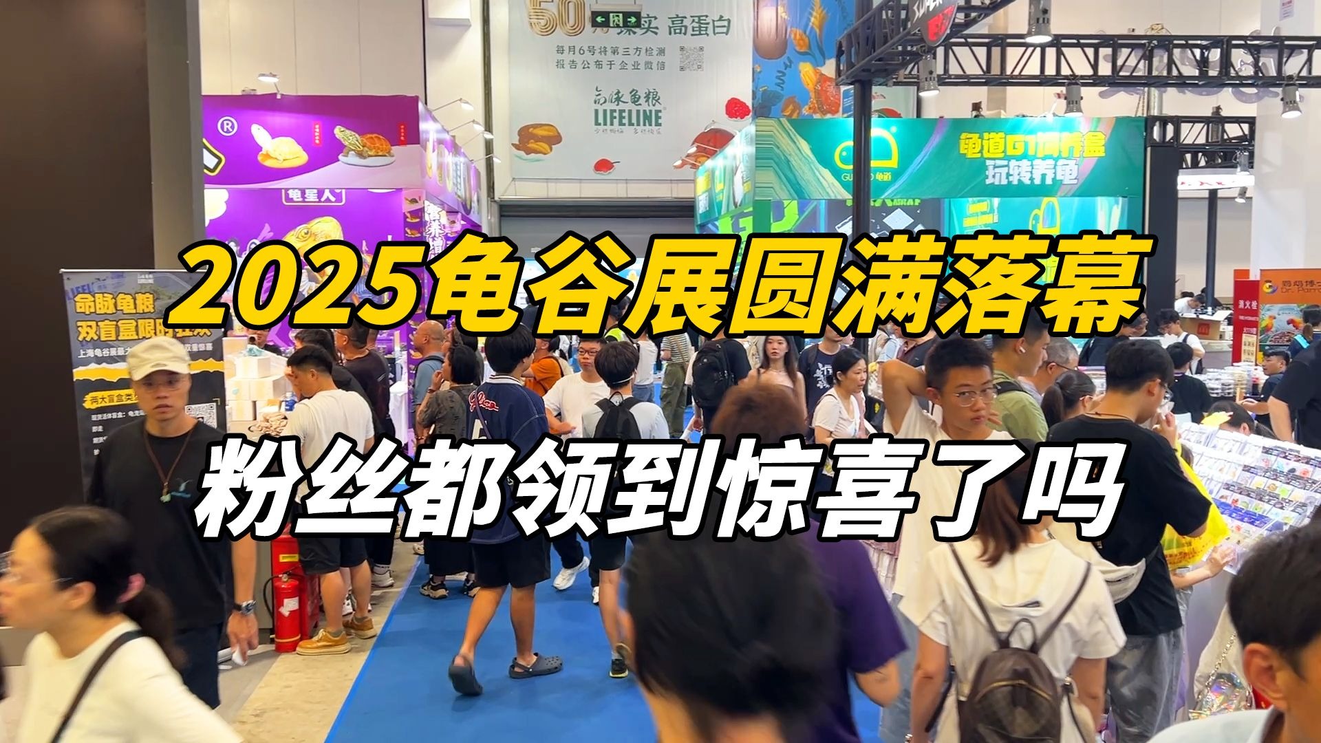 2025上海龟谷展圆满落幕，大家都领取到宠粉惊喜了吗？