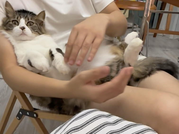 咪发布了自己的一日vlog，快来看看吧～