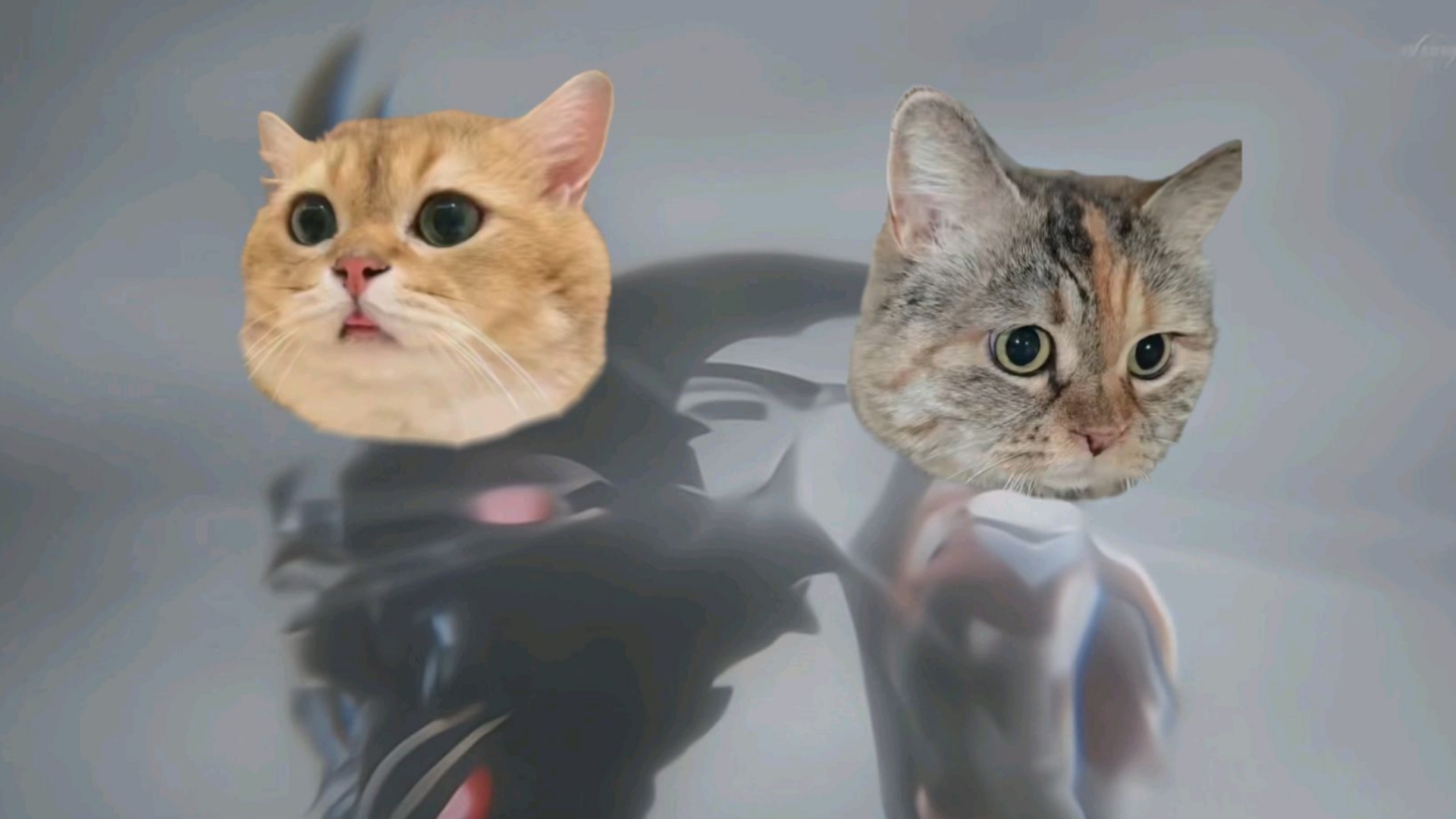 黑暗路基波仔和咣当奥特曼的对话