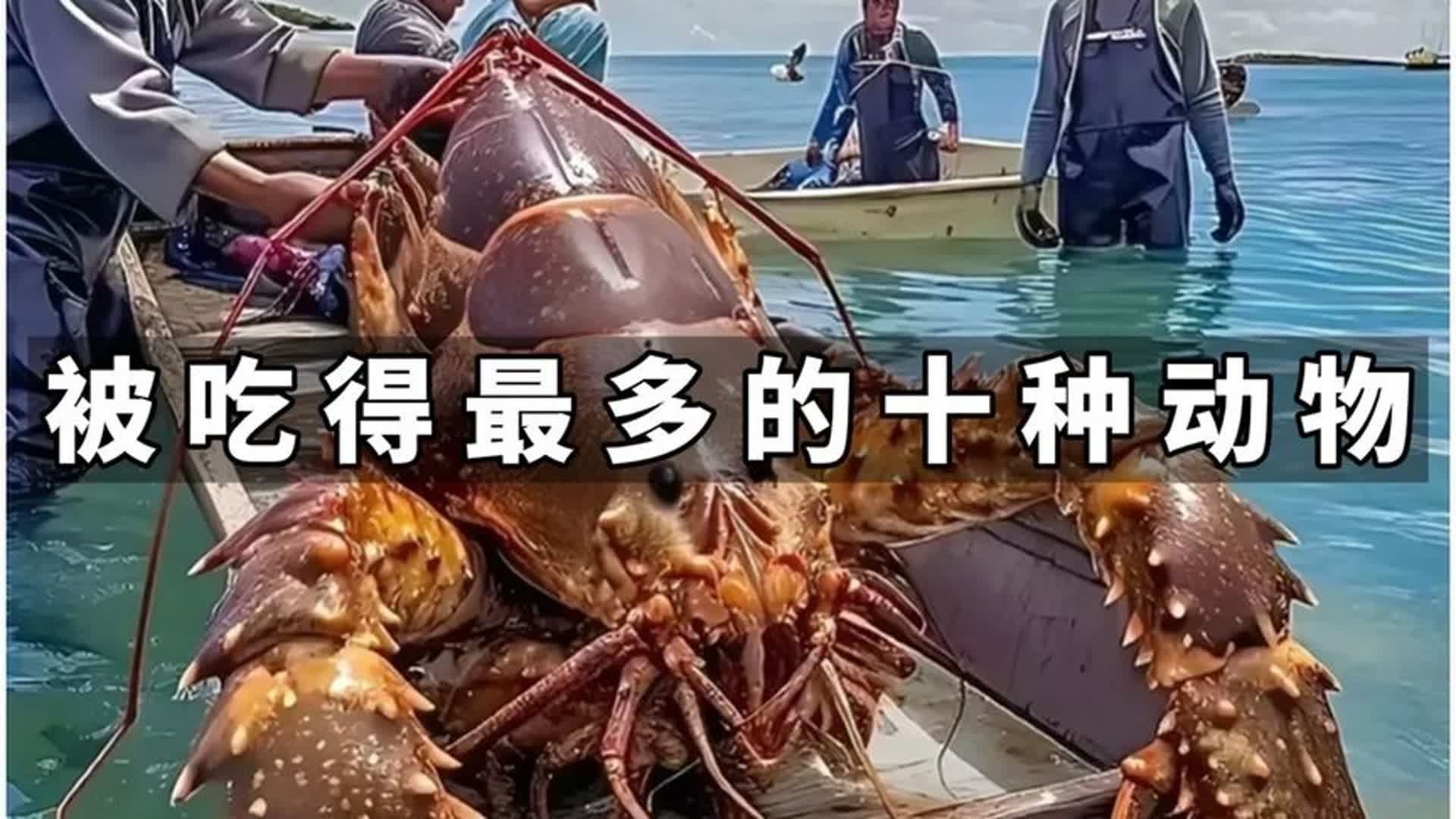 人类每年吃掉最多的十种动物，最后一种实在是太惨了！#科普一下